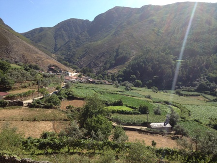 A aldeia de Covas do Monte e os seus campos de cultivo, vistos de norte.